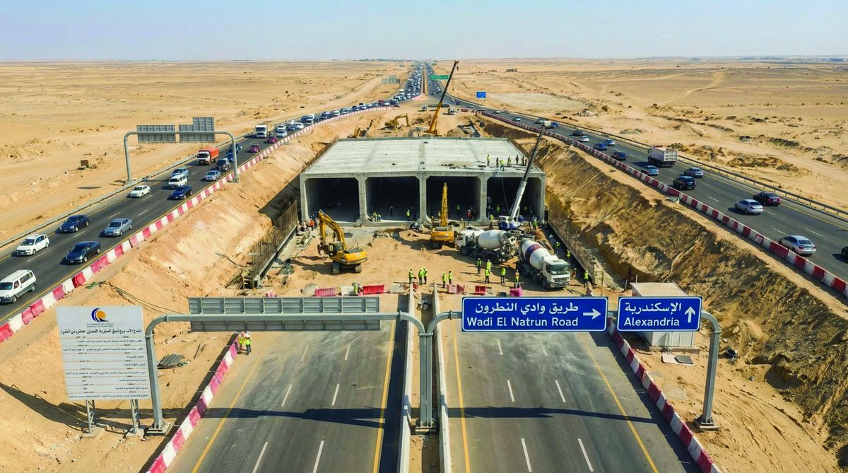 بربخ طريق الإسكندرية الصحراوي